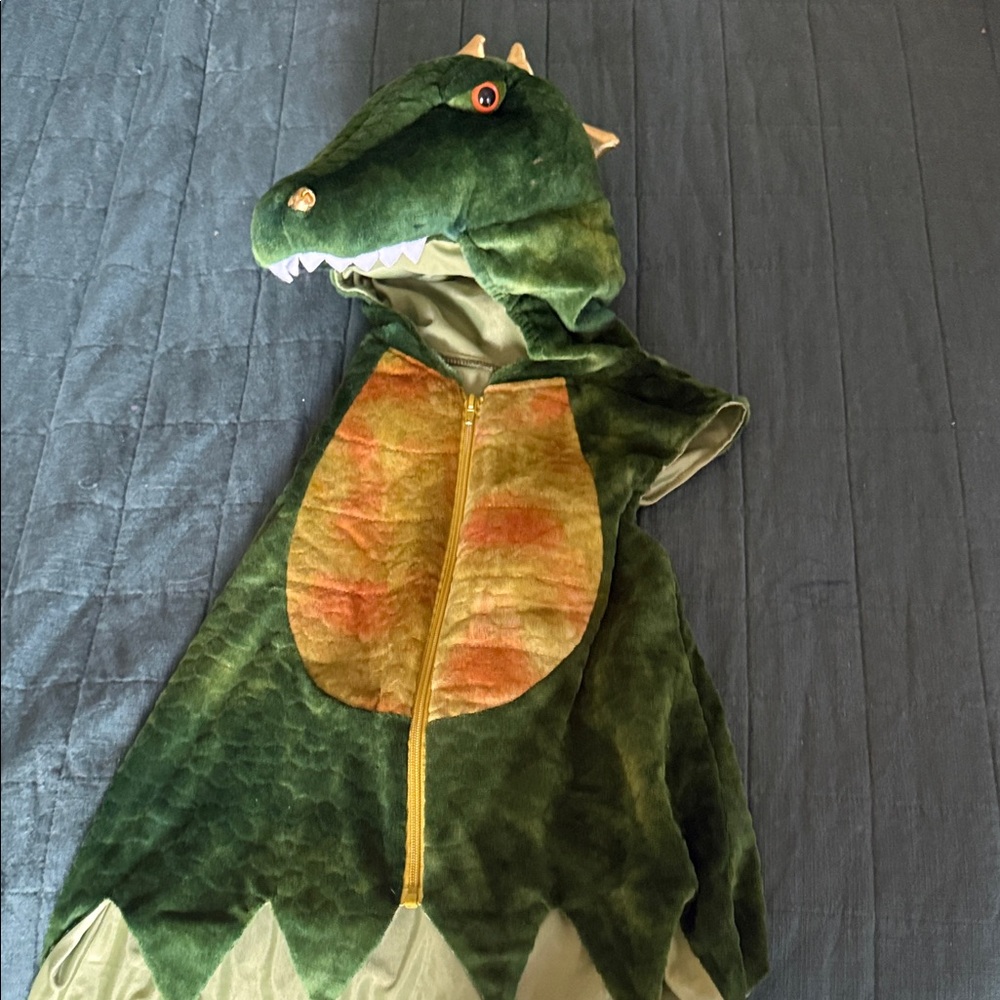 Kids Dinosaur Costume with Hood